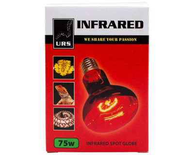 Picture of Infrared spot lamp 75w