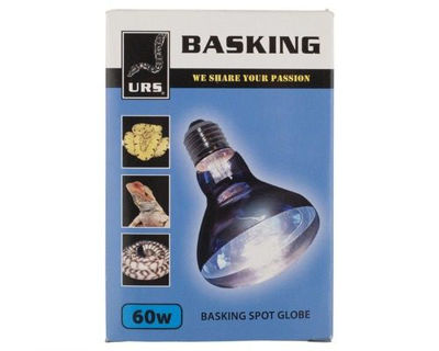 Picture of Basking spot globe 60w