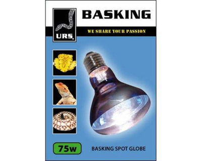 Picture of Basking spot globe 75w