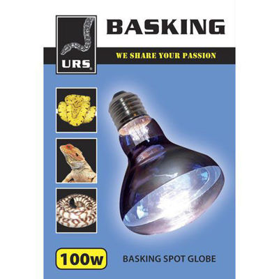 Picture of Basking spot globe 100w
