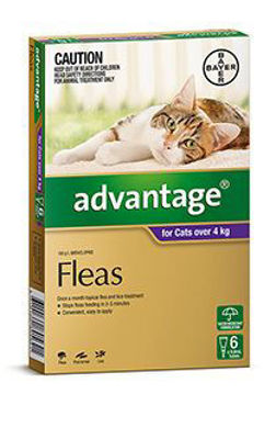 Picture of ADVANTAGE CAT > 4KG PURPLE 6s