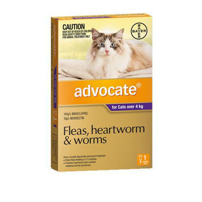 Picture of ADVOCATE SINGLES CAT 4+ KG