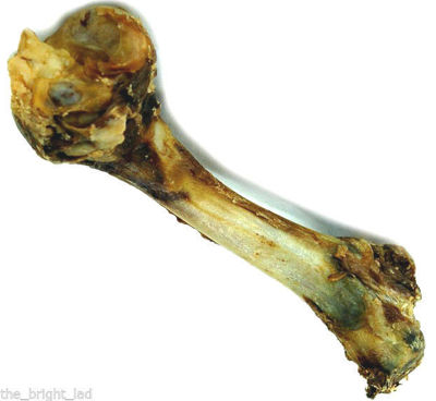 Picture of Lamb Bone