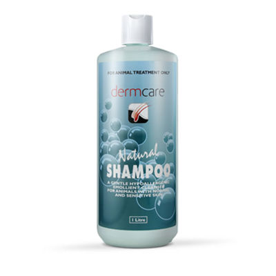 Picture of DERMCARE NATURAL SHAMPOO 500ML