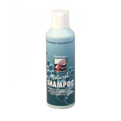 Picture of SHAMPOO NATURAL DERMCARE 250ML